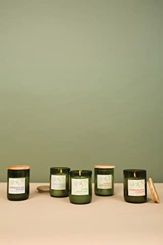 Paddywax Eco Collection Soy Wax Jar Candle 8-Ounce Verbena Lemongrass