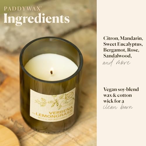 Paddywax Eco Collection Soy Wax Jar Candle 8-Ounce Verbena Lemongrass