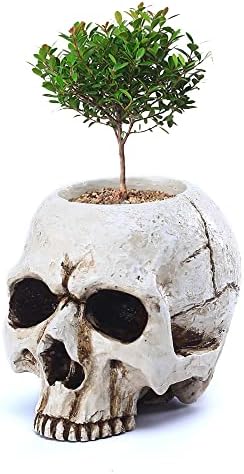 BENEKIY Retro Skull Candle Holder Handmade