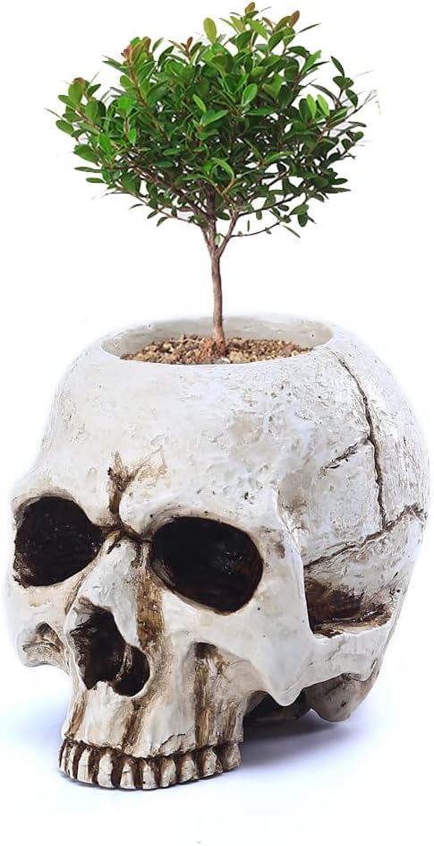 BENEKIY Retro Skull Candle Holder Handmade