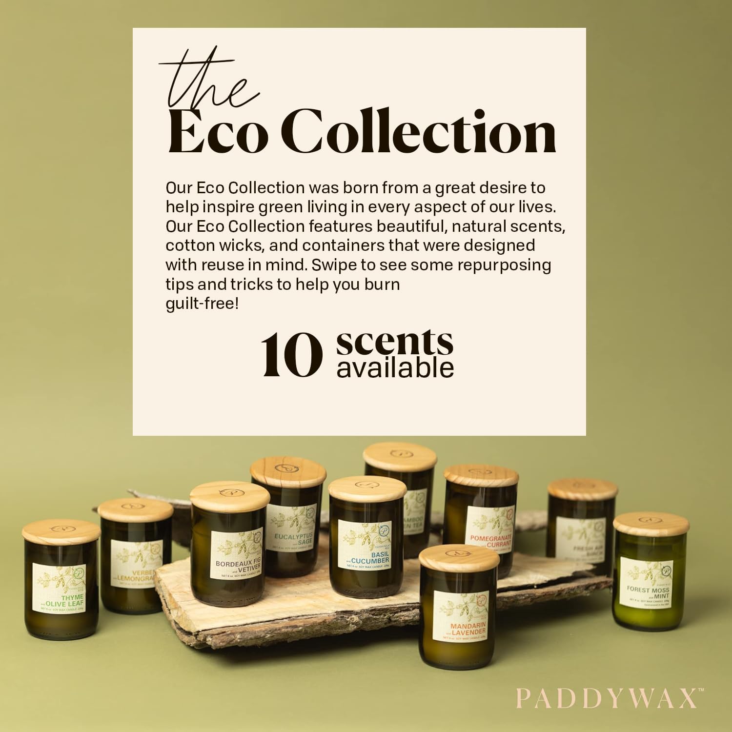 Paddywax Eco Collection Soy Wax Jar Candle 8-Ounce Verbena Lemongrass